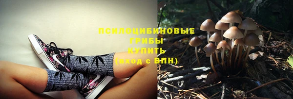 метадон Арсеньев