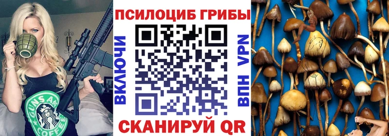 хочу наркоту ОМГ ОМГ ONION Псилоцибиновые грибы мухоморы Олёкминск