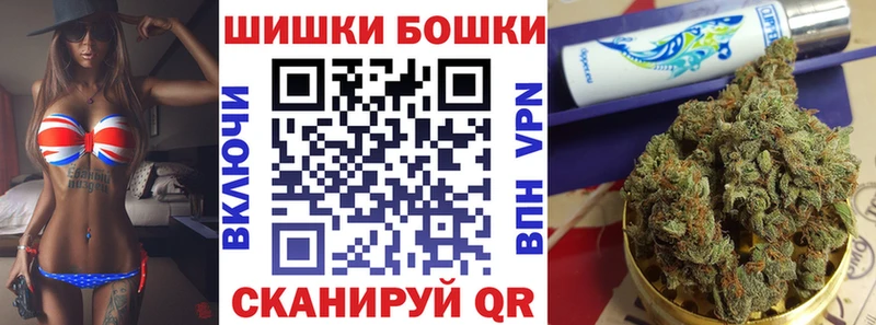продажа наркотиков  Олёкминск  Бошки Шишки индика 